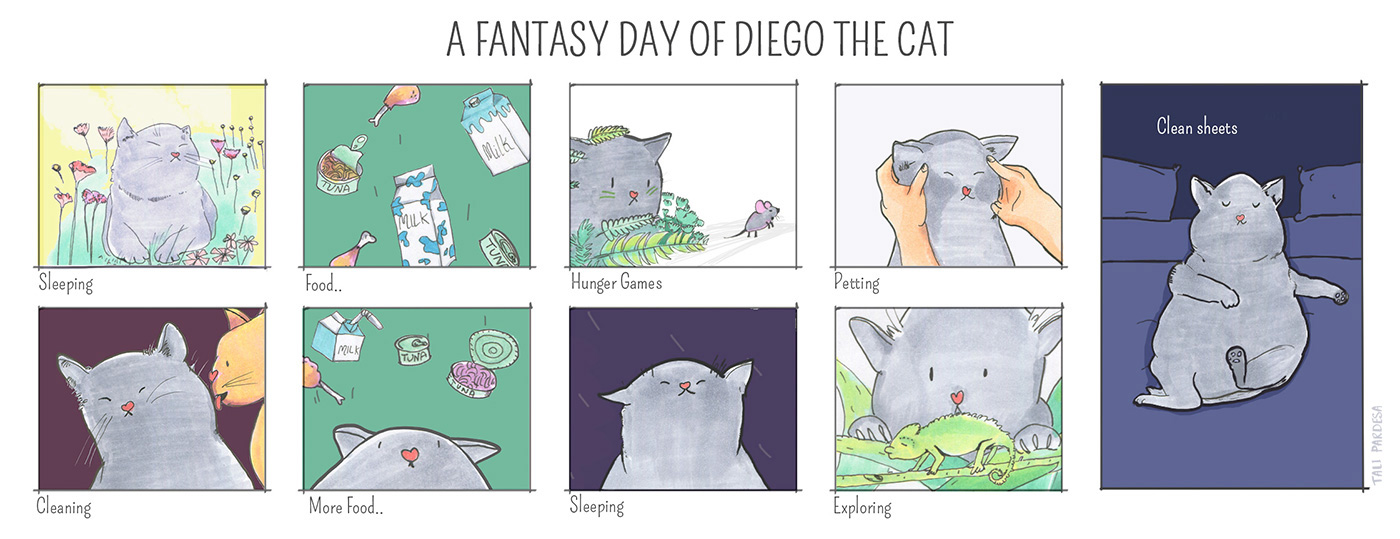 A Fantasy Day Of Diego The Cat
